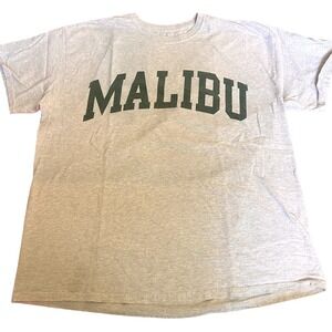 Brandy Melville Gray and Green Malibu Oversized T Shirt One Size